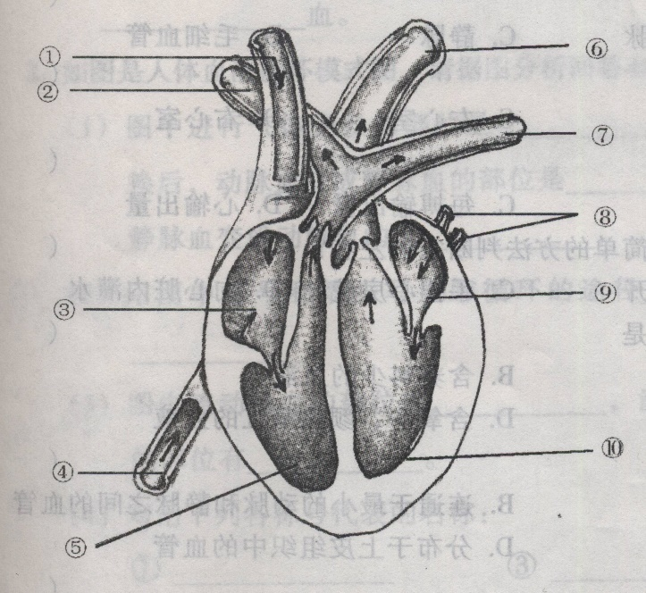 圖片1.png