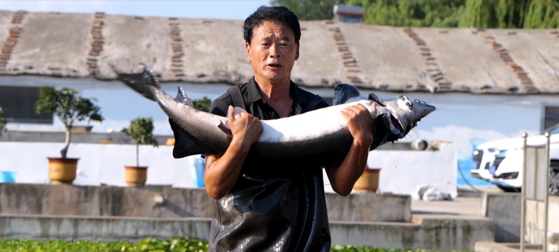 臨朐縣養(yǎng)殖成品魚等技術(shù)已經(jīng)非常成熟。臨朐縣委宣傳部供圖